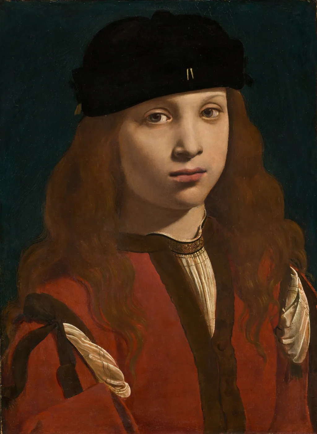 Portrait of a Youth, by Giovanni Antonio Boltraffio, oil, 1496