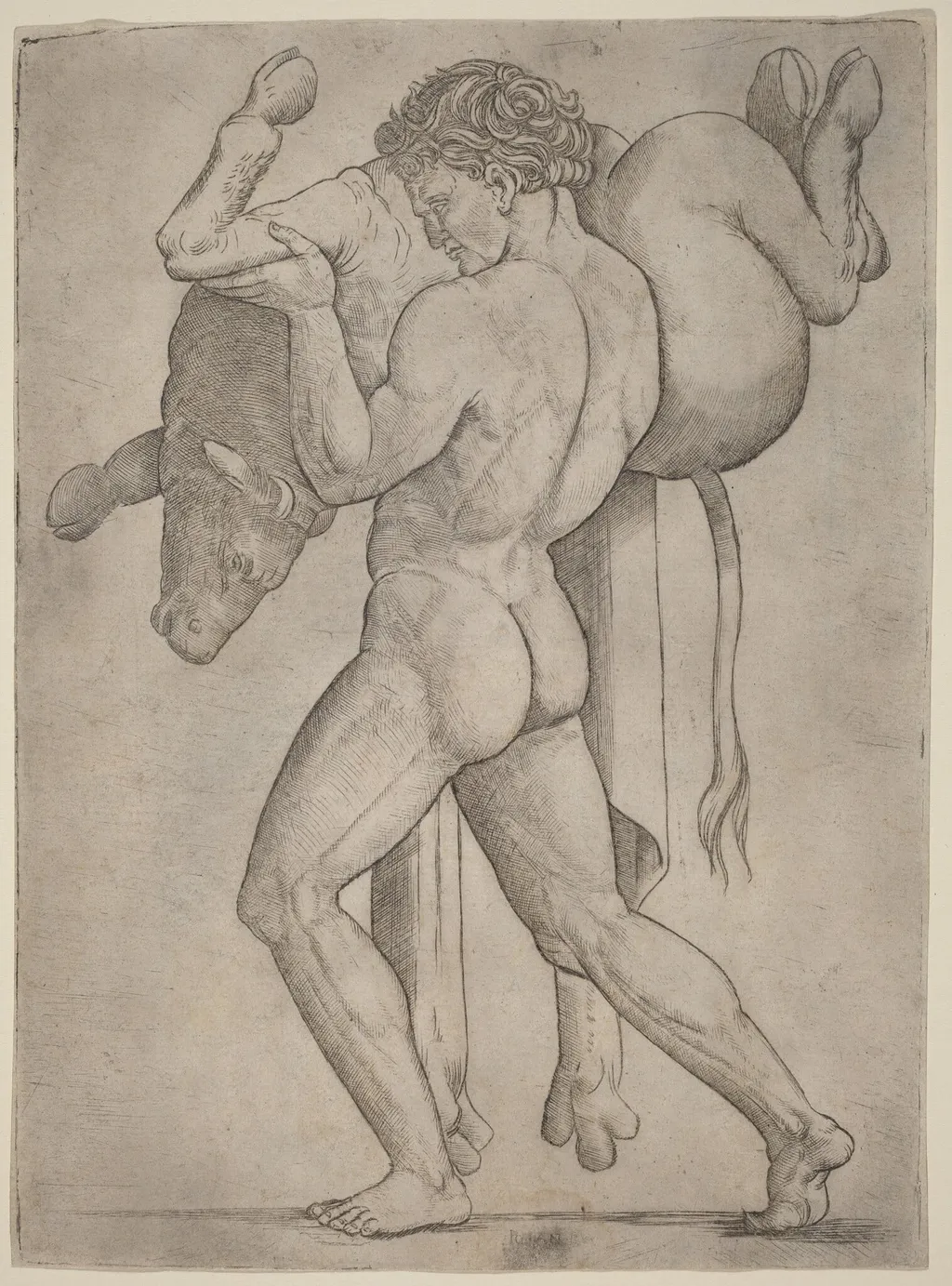 Hercules and the Cretan Bull, by Giovanni Antonio da Brescia, ink, 1514