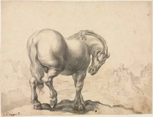 Study of a Stallion, by Giovanni Battista Foggini