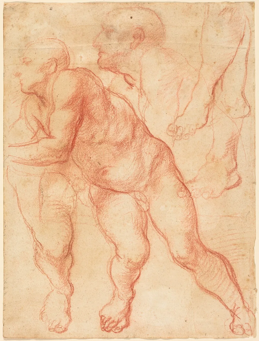 Studies of a Male Nude, by Giovanni Battista Naldini, chalk, 1550