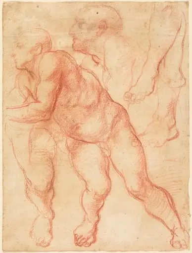 Studies of a Male Nude, by Giovanni Battista Naldini