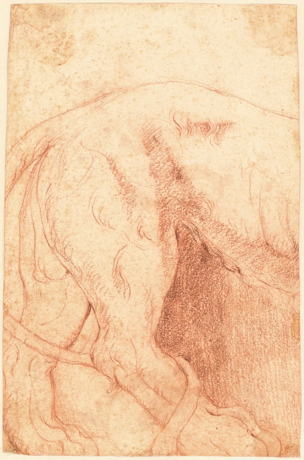 Fragment of a Lion Bas-Relief (verso), by Giovanni Battista Piranesi, chalk, 1754