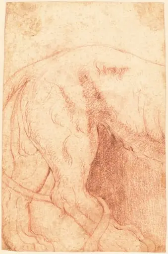 Fragment of a Lion Bas-Relief (verso), by Giovanni Battista Piranesi