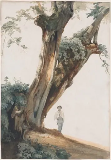 Ancient Trees in the Roman Campagna, by Giovanni Costa