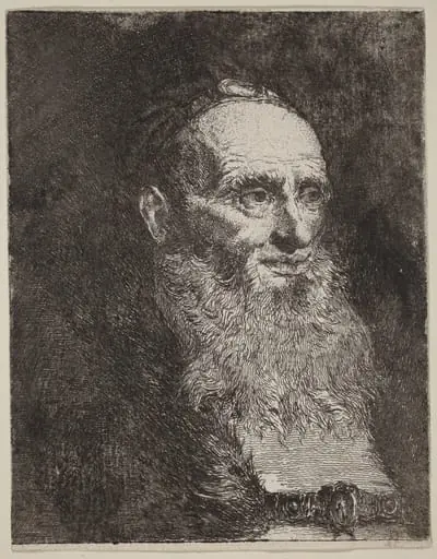 Old Man with a Beard, by Giovanni Domenico Tiepolo