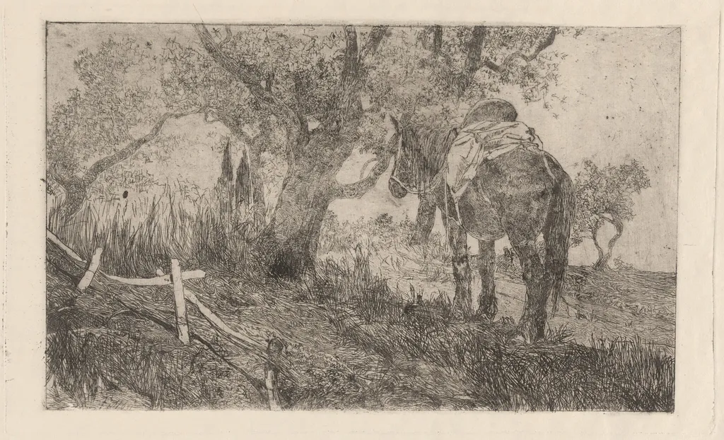 Horse at Midday (Cavallo a meriggio), by Giovanni Fattori, ink, 1885