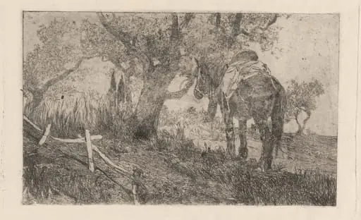 Horse at Midday (Cavallo a meriggio), by Giovanni Fattori
