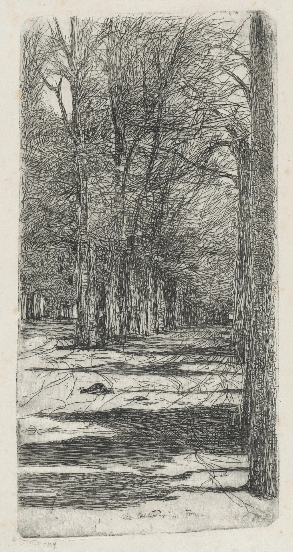 Path in Parco delle Cascine (Un viale interno delle Cascine), by Giovanni Fattori, ink, 1875