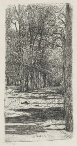 Path in Parco delle Cascine (Un viale interno delle Cascine), by Giovanni Fattori