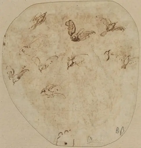 Birds in Flight [verso], by Girolamo Mazzola Bedoli