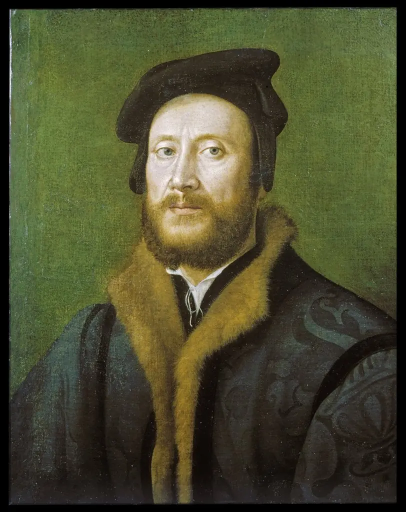 Portrait of a Bolognese Gentleman in a Fur-lined Coat, by Giuliano Bugiardini