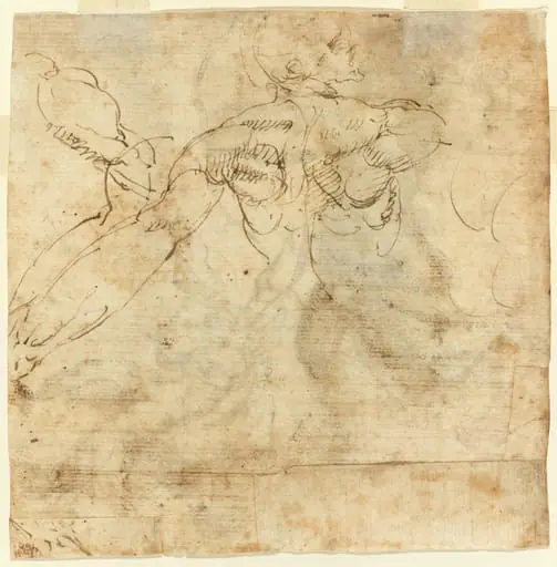 Study of a Back, by Giulio Cesare Procaccini
