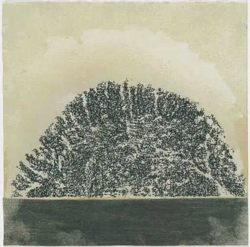 Untitled, by Giuseppe Penone