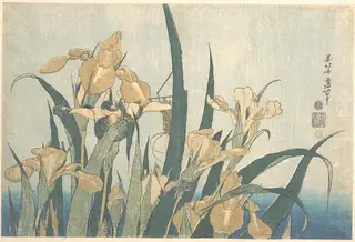 葛飾北斎画　燕子花|Grasshopper and Iris, by Katsushika Hokusai