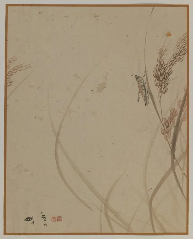 Grasshopper on Stalk of Rice