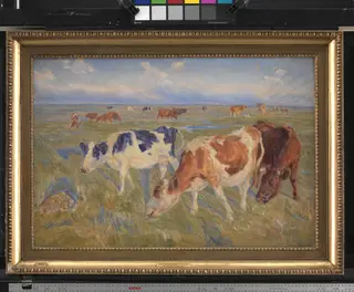 Grazing Cows on the Island of Saltholm