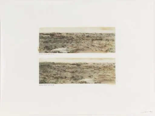 Untitled, by Gregory Green
