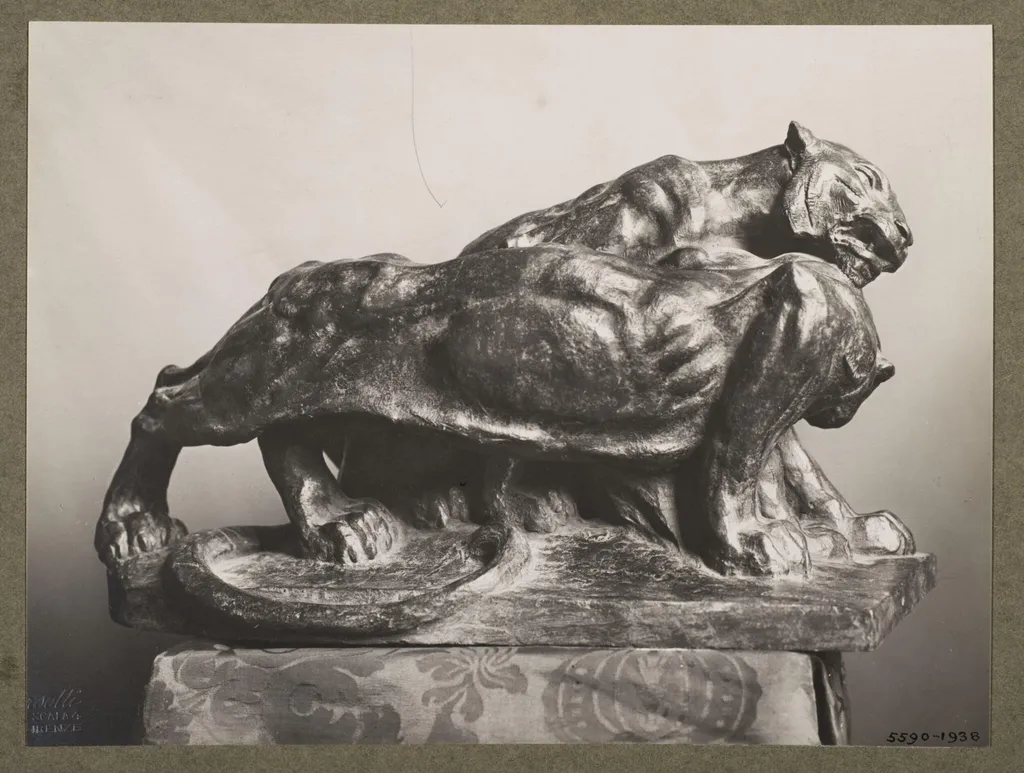 Tigers, by Guido Calori, photographic