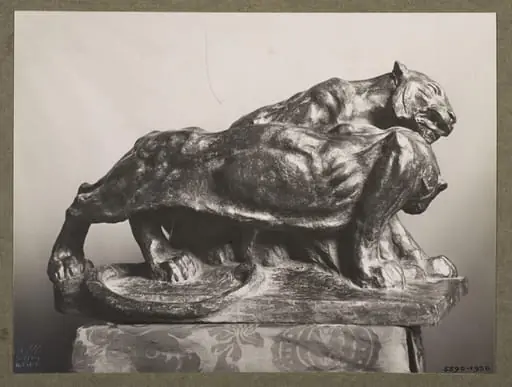 Tigers, by Guido Calori