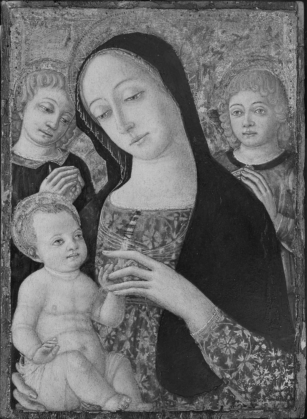 Virgin and Child with Two Angels, by Guidoccio Cozzarelli, unspecified, 1490