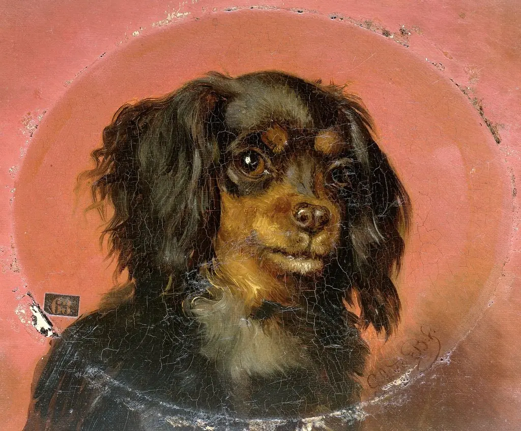 Portrait of a Puppy, by Guillaume Anne van der Brugghen