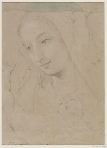 Head of a young woman, by Guillaume Courtois
