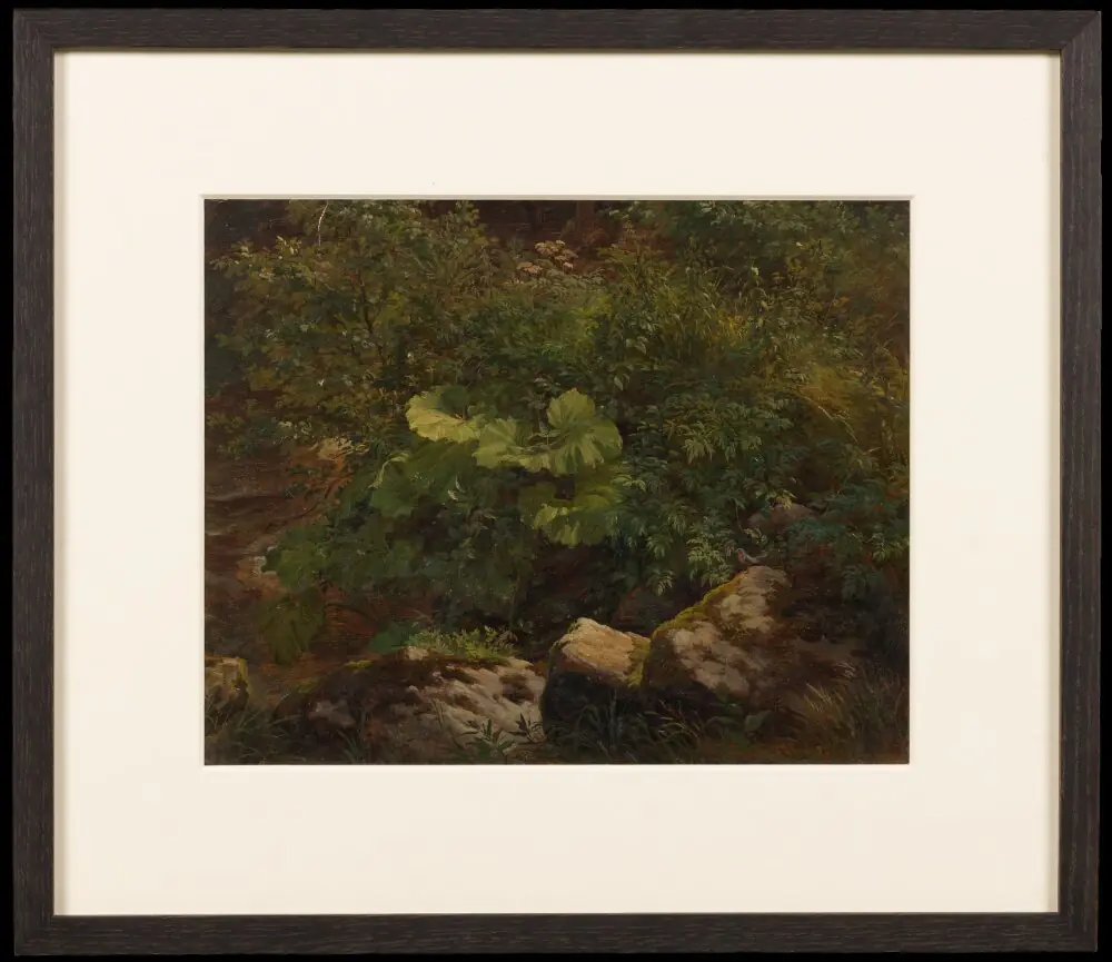 Plants. Study, by Gustav Friedrich Papperitz