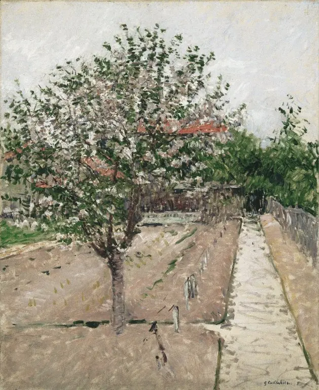 Apple Tree in Bloom, by Gustave Caillebotte
