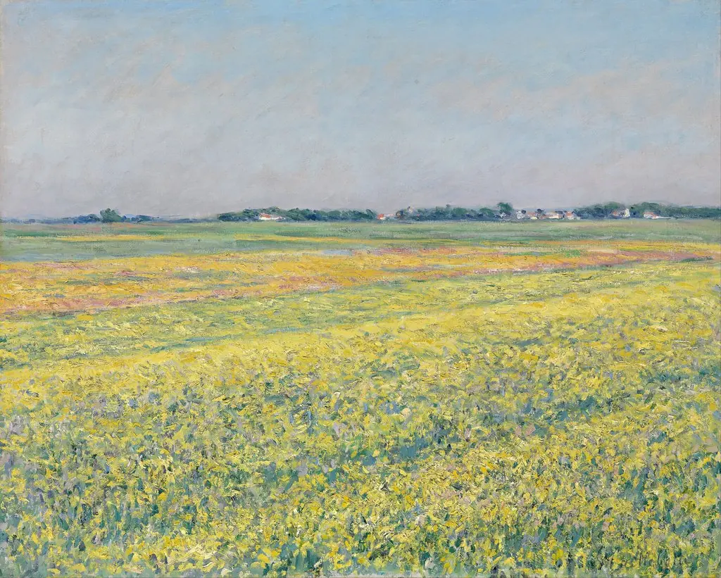 The plain of Gennevilliers, yellow fields