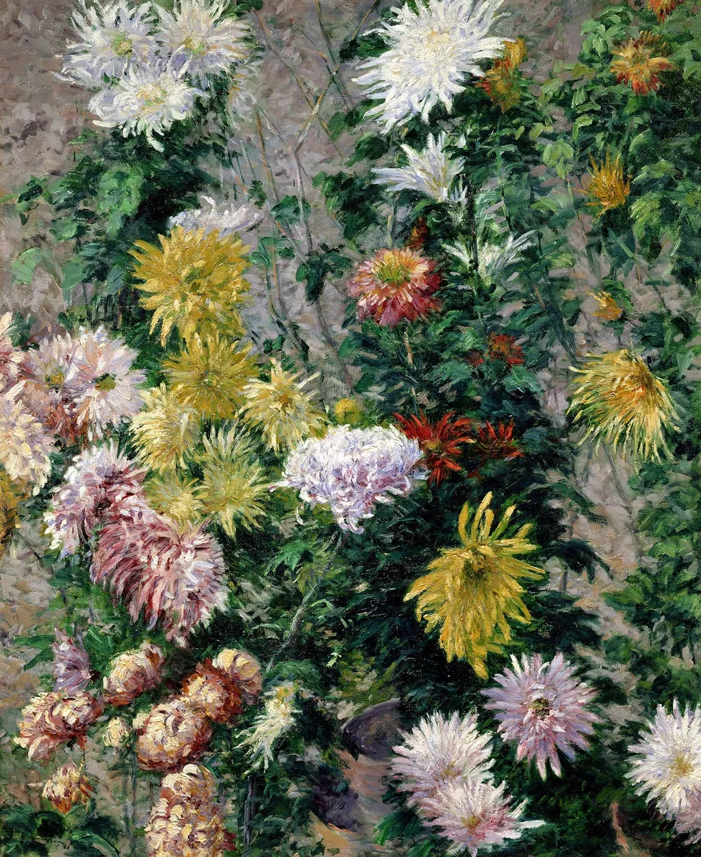 White and yellow chrysanthemums. Petit Gennevilliers garden, by Gustave Caillebotte, oil