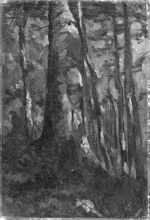 The Interior of a Forest, by Gustave Courbet, oil, 1855