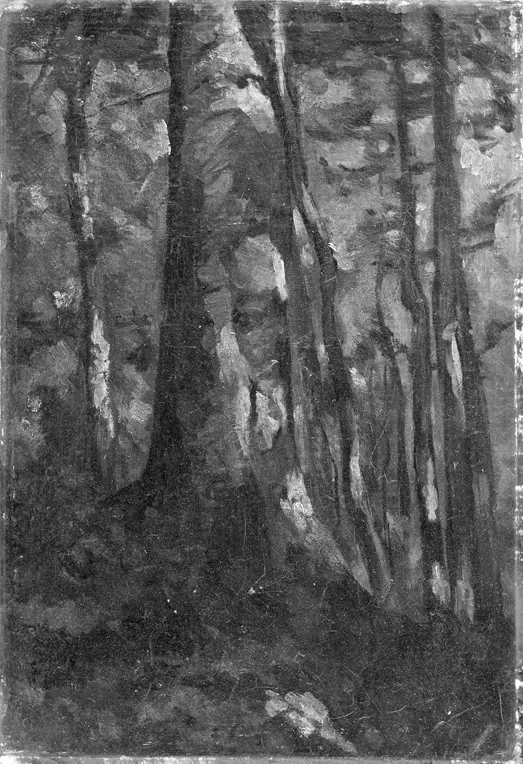 The Interior of a Forest, by Gustave Courbet
