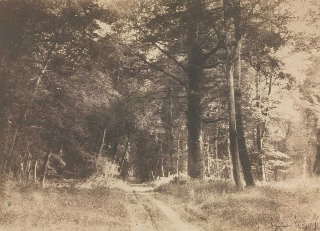 Pathway in the Forest of Fontainebleau, by Gustave Le Gray, 1850