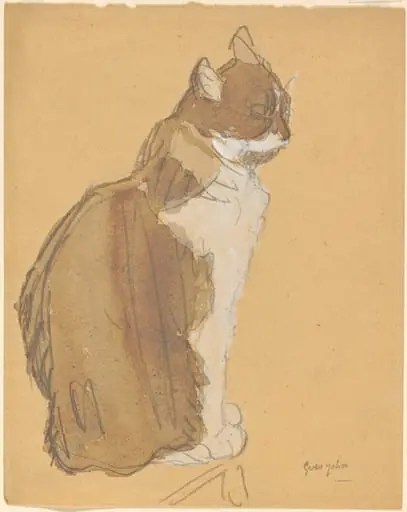 Cat with a White Front, by Gwen John