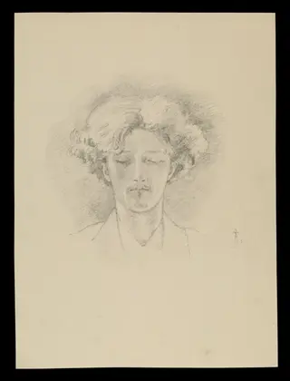 H Beard Print Collection