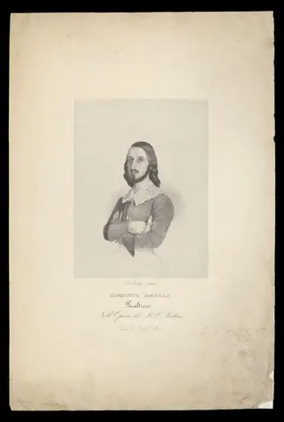 H Beard Print Collection