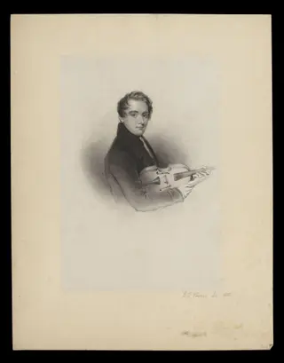 H Beard Print Collection