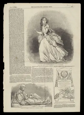 H Beard Print Collection
