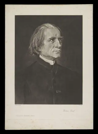 H Beard Print Collection