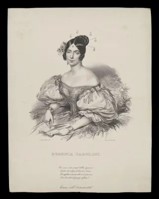 H Beard Print Collection