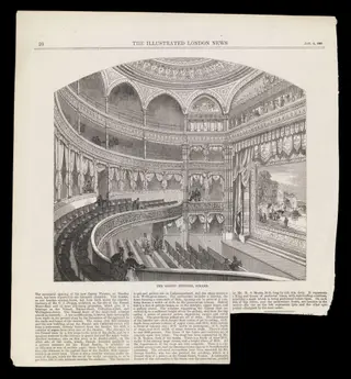 H Beard Print Collection