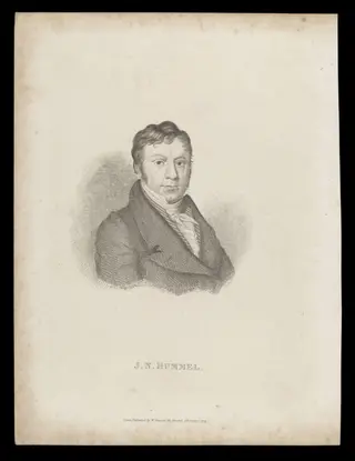 H Beard Print Collection