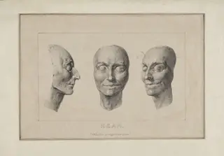 H Beard Print Collection
