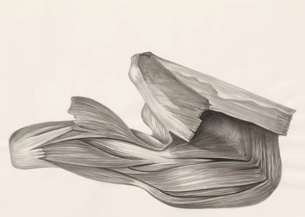 Muscular tissue of a lizards leg, by H.G, Wetselaar, 1970