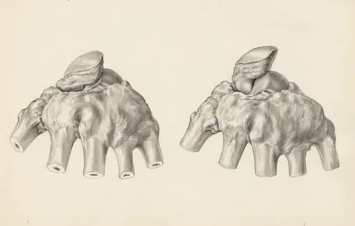 Musculoskeletal system of the hand, by H.G, Wetselaar