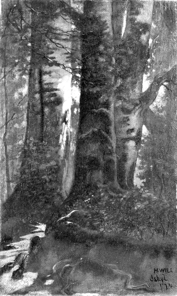 Ischl, Austria, by Hamilton H. Wild