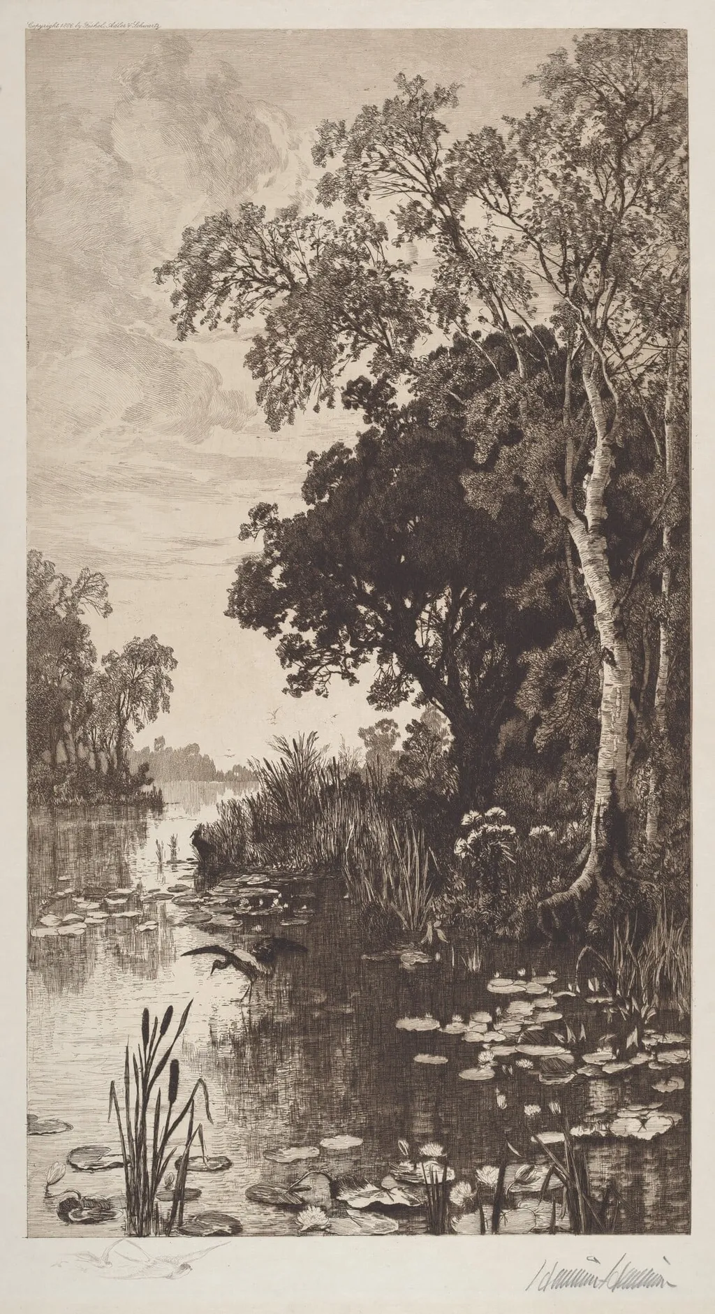 Untitled (Summer), by Hamilton Hamilton, ink, 1886