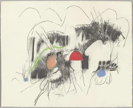 Untitled, by Hannah Wilke