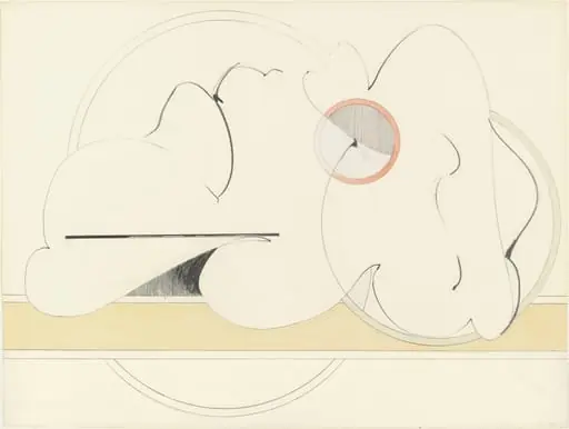 Untitled, by Hannah Wilke