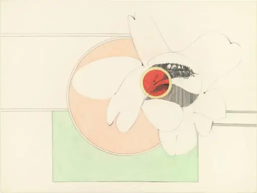 Untitled, by Hannah Wilke